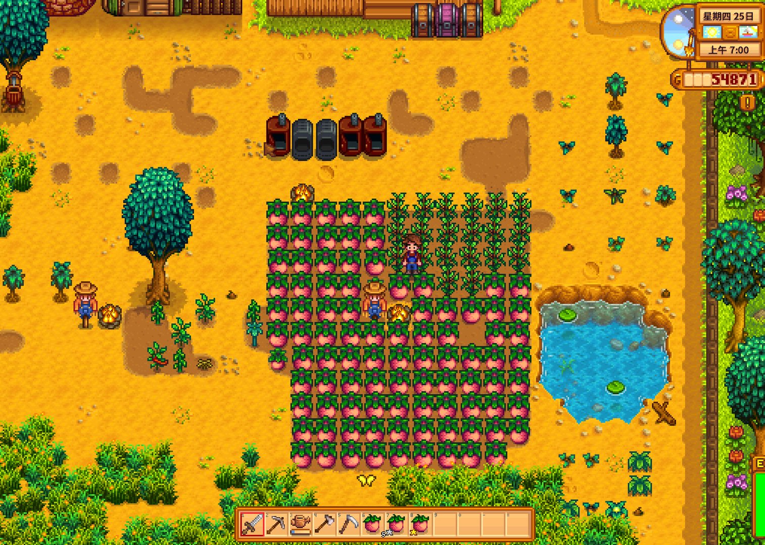 空洞骑士 豪华版 截图11